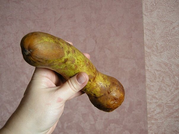 Who made such pears? - NSFW, My, Pears, Pyaterochka, Avitaminosis, , Longpost