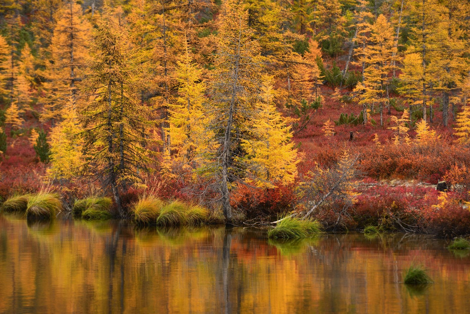 Lake Jack London and surroundings - Magadan Region, Lake, Autumn, Russia, The photo, Nature, Gotta go, Landscape, Longpost