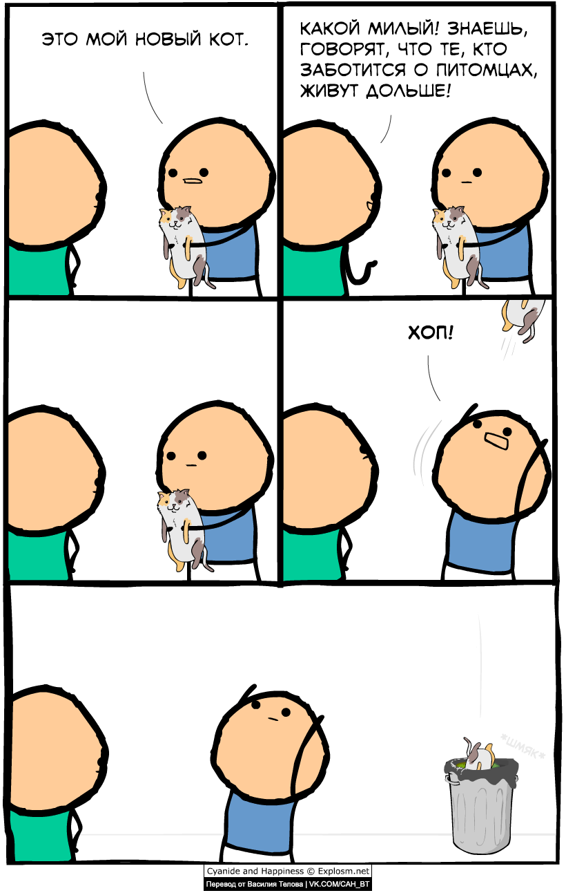 new cat - Comics, Cyanide and Happiness, cat, Humor, Joke