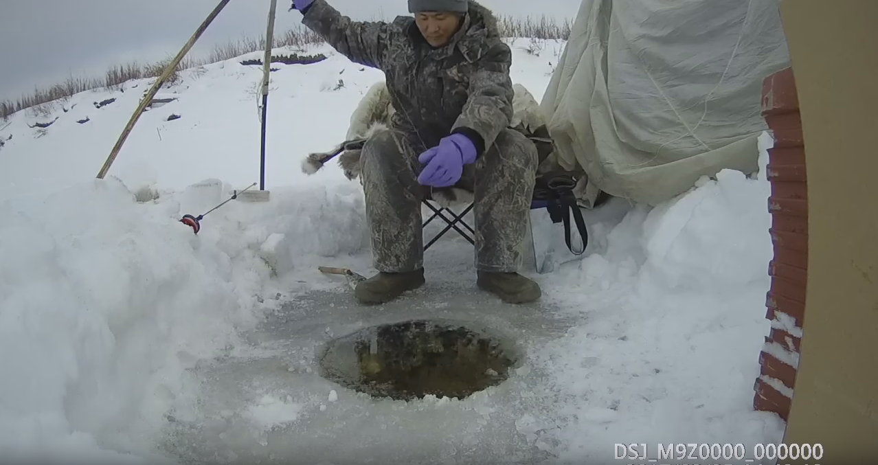 Fishing trip from 03/25/2017 we catch whitefish and perch Yakutia Yakutia - Yakutia, Fishing, Stanislav, , Winter fishing, Video