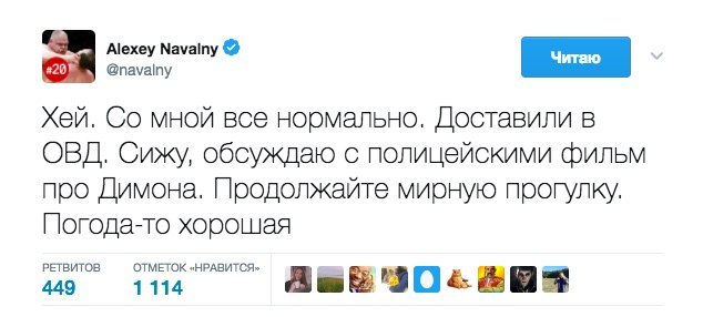 Everything is fine. - Alexey Navalny, Corruption, Rally, Politics, Ovd