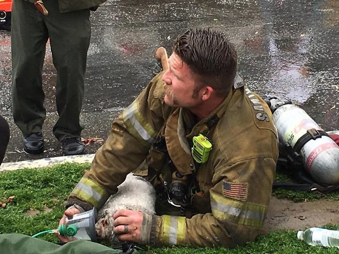 Firefighter Andrew Klein resuscitated a dog named Nalu in a fire rescue - Kindness, Dog, Firefighters, The rescue, Longpost