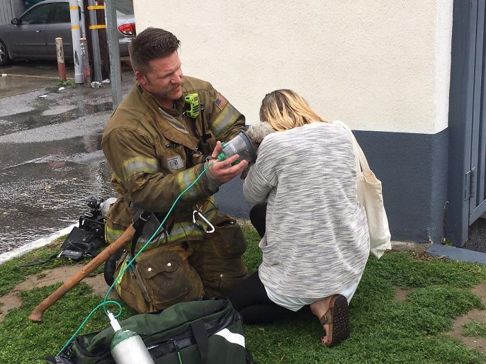 Firefighter Andrew Klein resuscitated a dog named Nalu in a fire rescue - Kindness, Dog, Firefighters, The rescue, Longpost