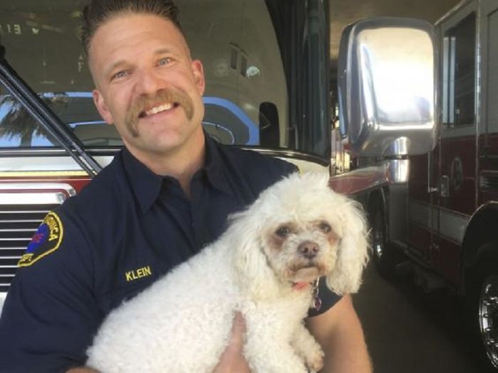 Firefighter Andrew Klein resuscitated a dog named Nalu in a fire rescue - Kindness, Dog, Firefighters, The rescue, Longpost