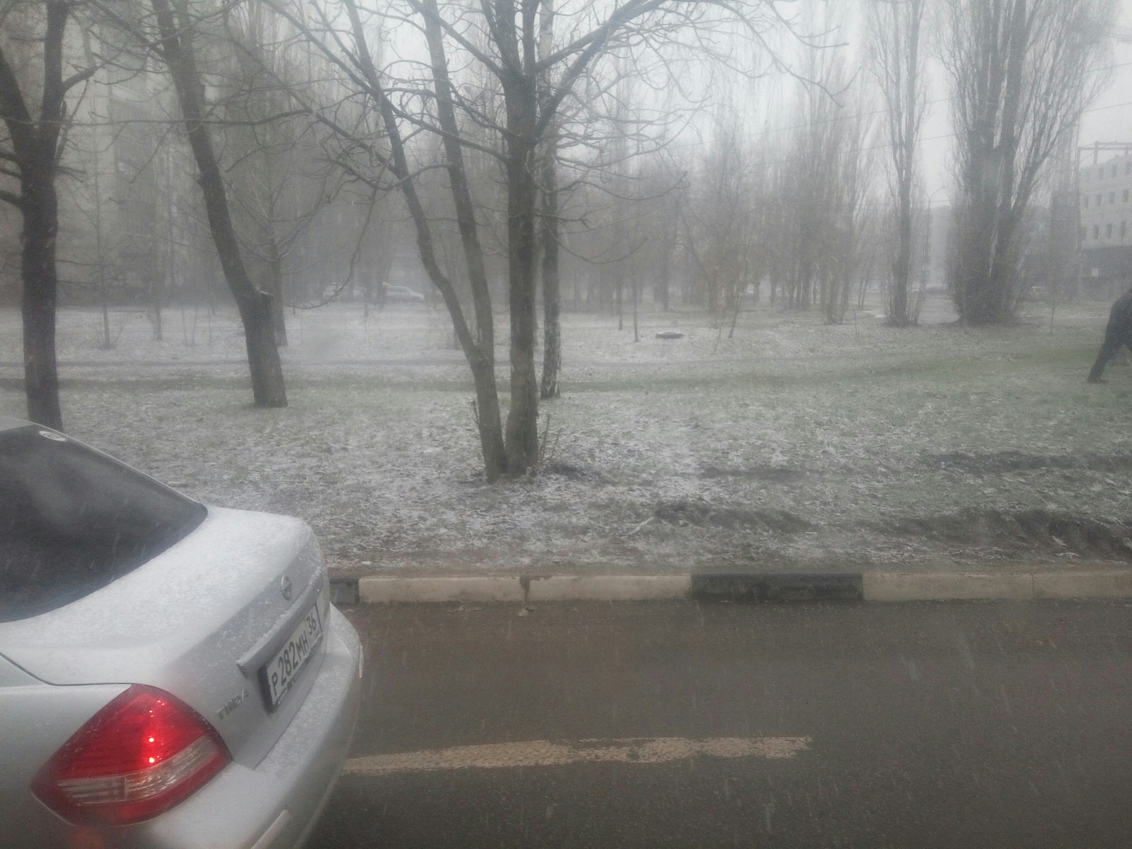 Spring Voronezh. - Voronezh, Spring, Snow