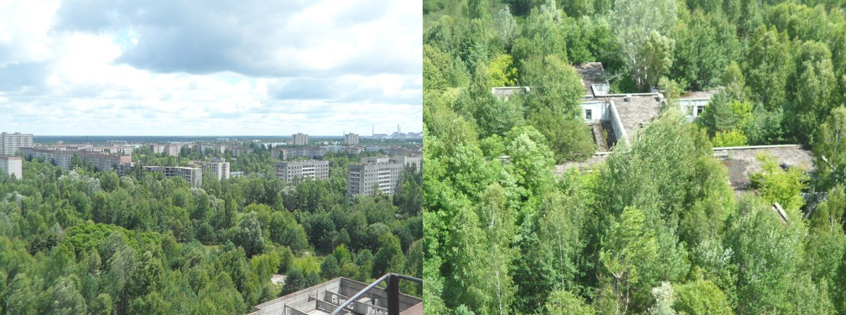 CHZO - my first and probably only trip to Pripyat .... - My, Zuo, , Hike, Pripyat, Longpost, Abandoned place, Abandoned