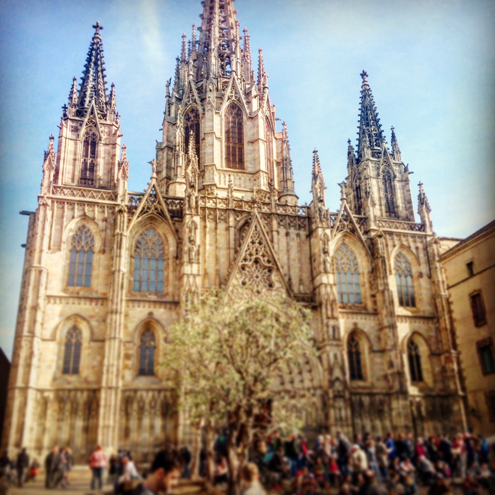 Spring in Barcelona - My, Barcelona, Spring, Longpost, Barcelona city