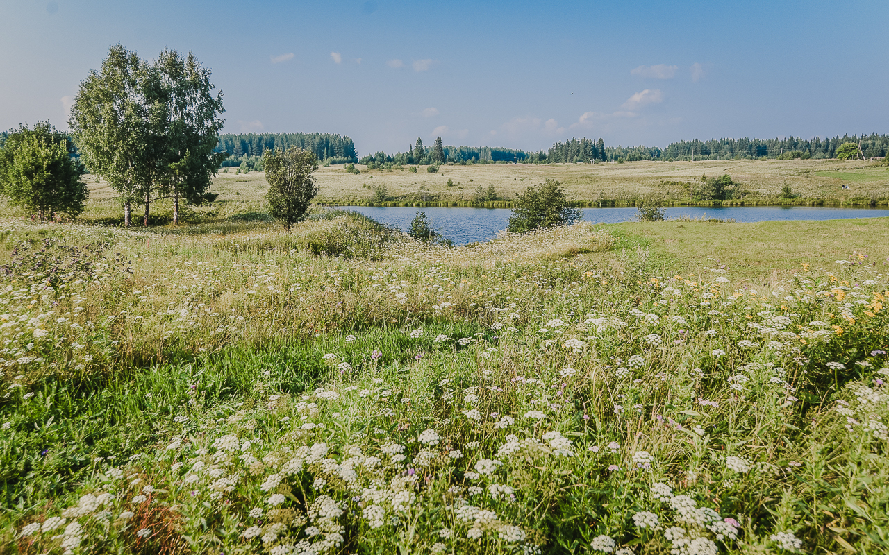 Люблю фотографировать природу. - Моё, Урал, Сибирь, Уральские горы, Тайга, Длиннопост