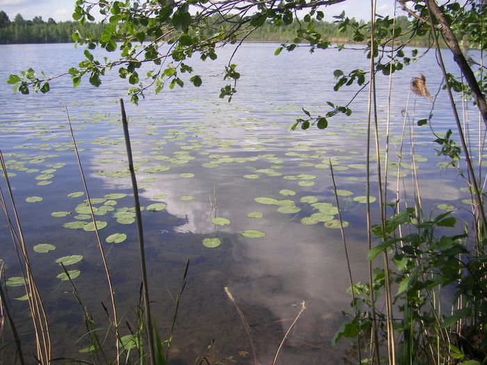 The invisible city of Kitezh - My, Kitezh, Rus, Legend, Places of Power, Longpost