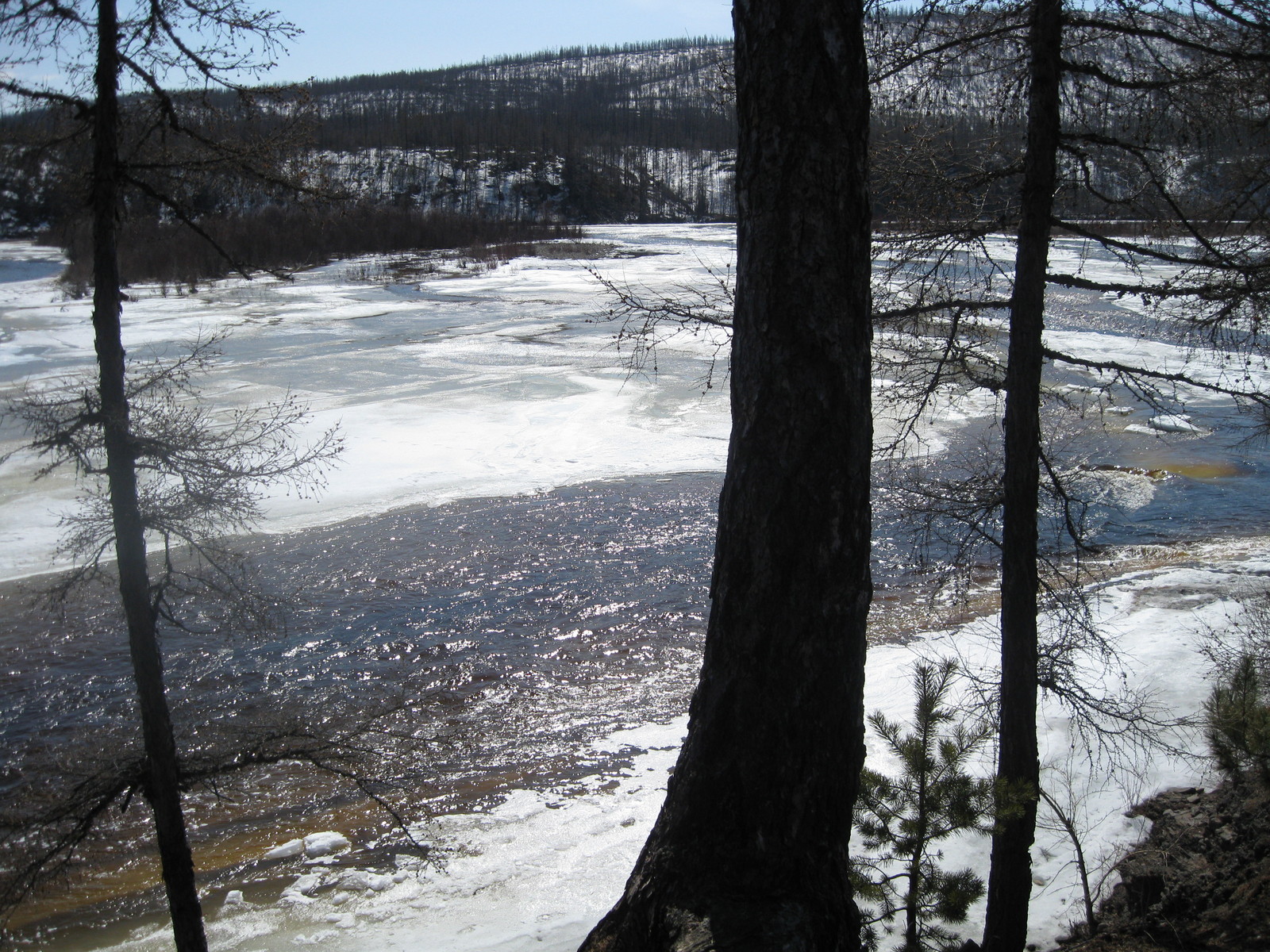 River Awakening. - My, wildlife, beauty of nature, , , Longpost, River, Yakutia, The photo