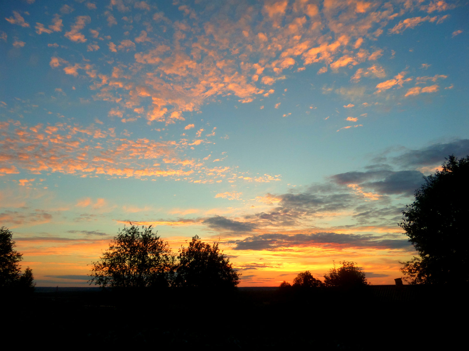 We wait) - My, Summer, Sunset, Nature, Alexey Navalny, Not politics