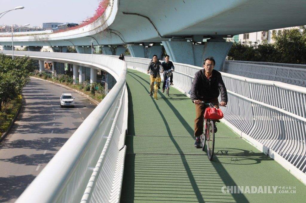 The Great China Battle of Bike Sharing (video at the end) - My, China, Longpost, A bike, Asia, Video, Bike rental