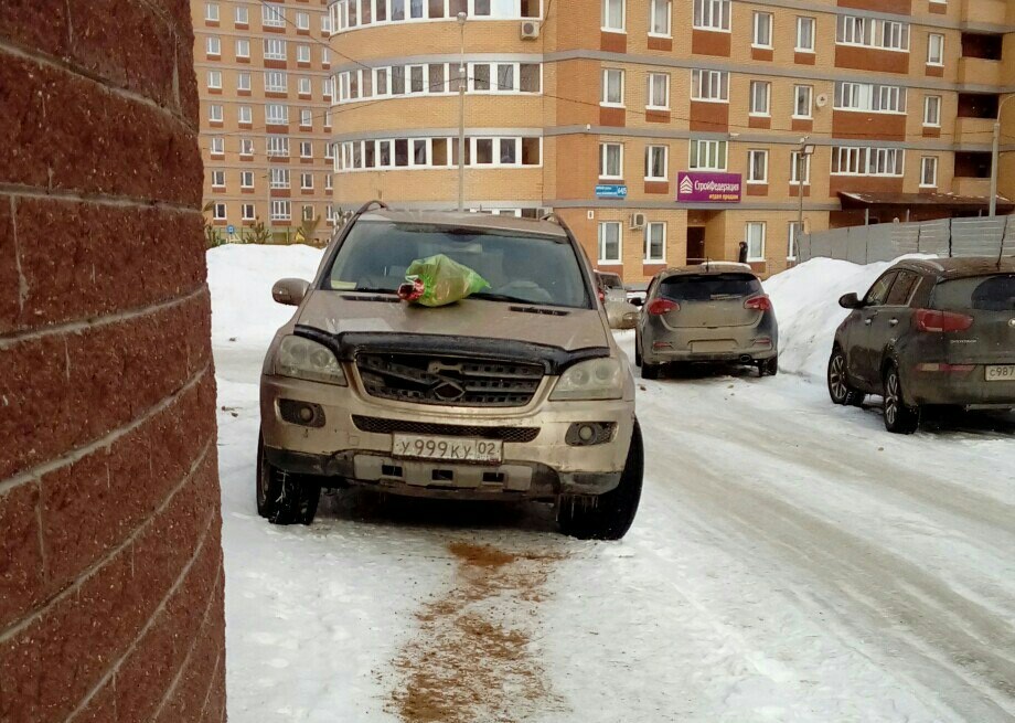 Fight of two stubborn. - Autoham, Ufa, Confrontation