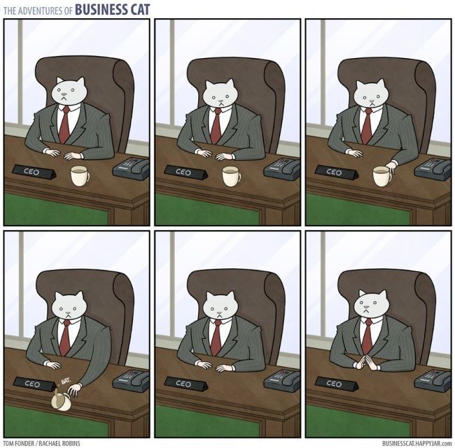 businessman cat - Business cat, Comics, Longpost, cat