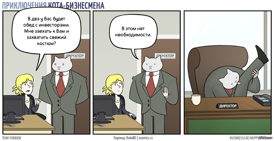 businessman cat - Business cat, Comics, Longpost, cat