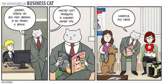 businessman cat - Business cat, Comics, Longpost, cat