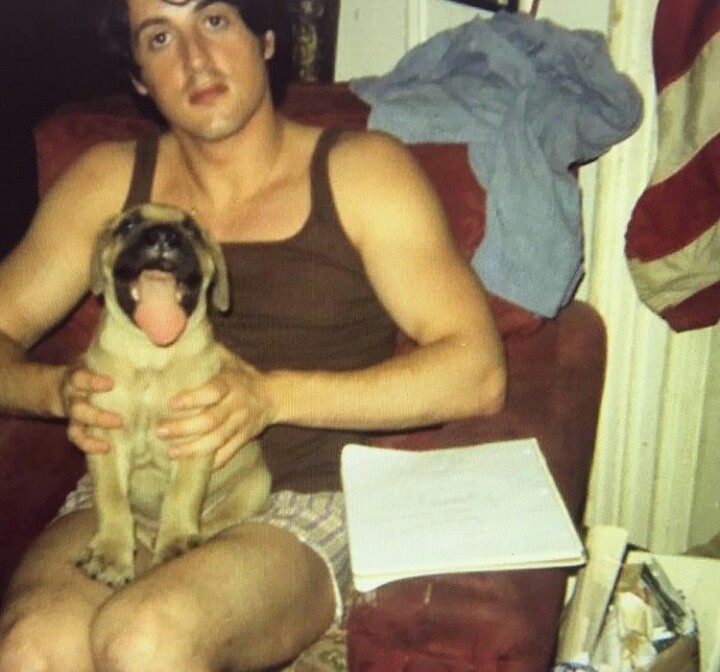 Sylvester Stallone with friend - Sylvester Stallone, Dog, Friend, Longpost