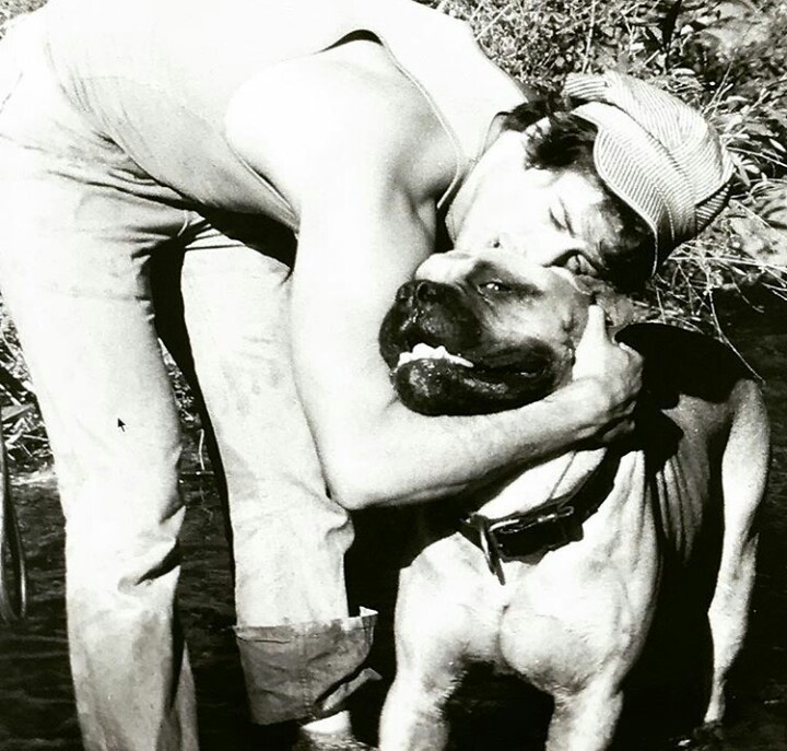 Sylvester Stallone with friend - Sylvester Stallone, Dog, Friend, Longpost