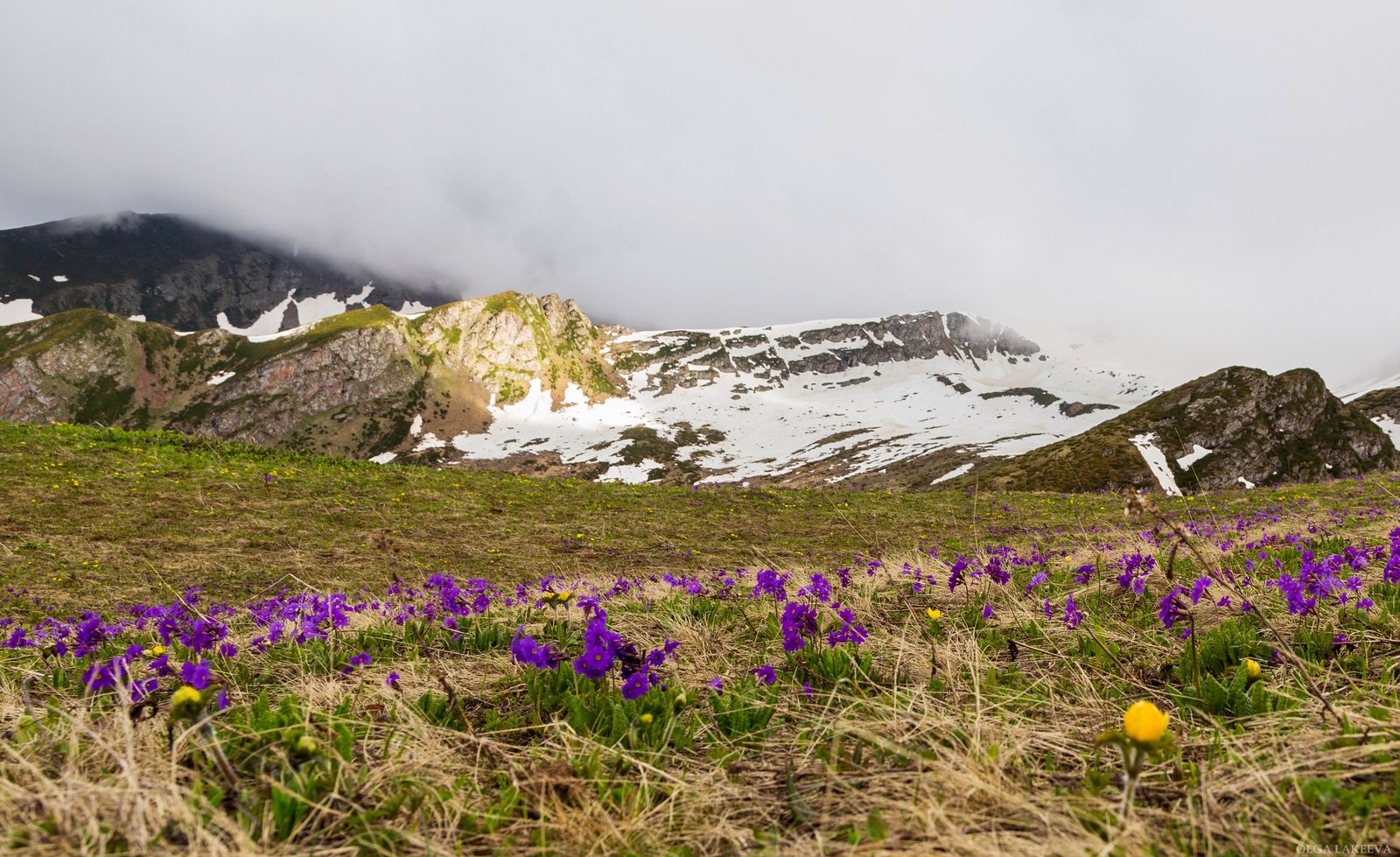 Arkhyz - Karachay-Cherkessia, Russia, The photo, , Nature, Landscape, Gotta go, Longpost