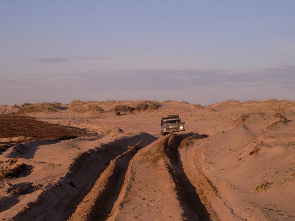 The Arctic is my homeland (part 6. Sandy desert beyond the Arctic Circle) - Arctic, Kuzomen, Sand, Desert, Longpost