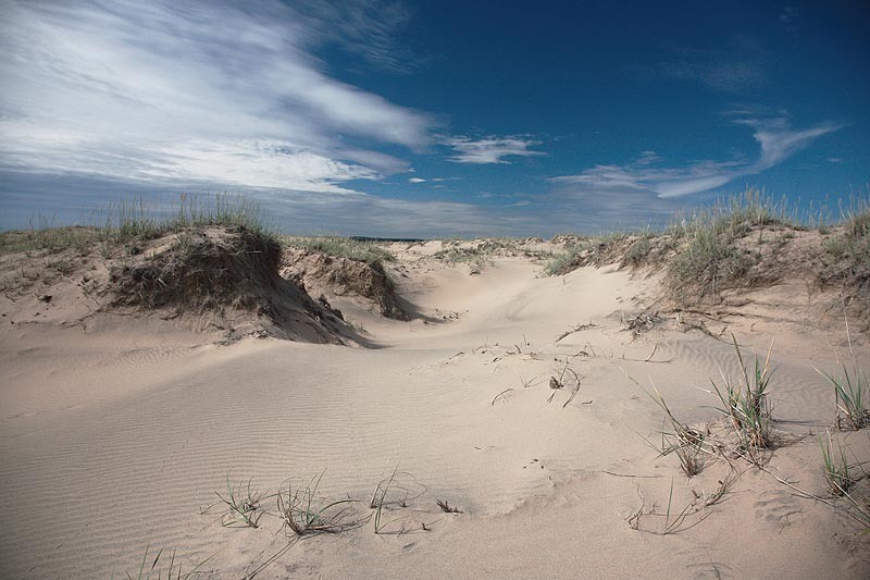 The Arctic is my homeland (part 6. Sandy desert beyond the Arctic Circle) - Arctic, Kuzomen, Sand, Desert, Longpost