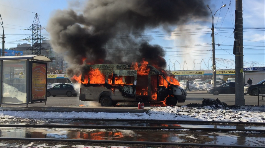 Not my day - Samara, Bus, The Bears