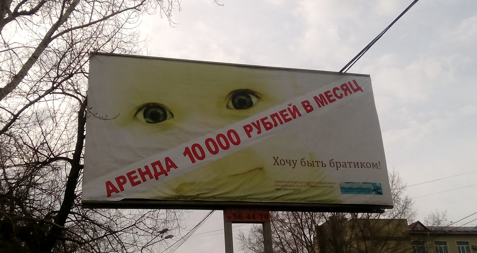 Unfortunate combination - My, The photo, Tomsk, Billboard