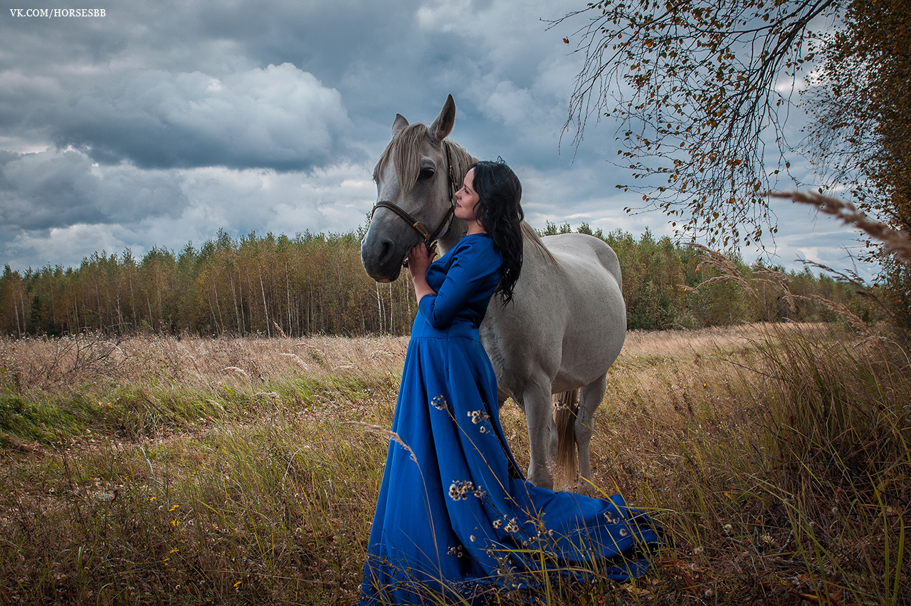 Photos from our stables. Part two. - My, Horses, Stable, Equestrian Club, Horseback riding, Horseback riding, Ryazan, Longpost