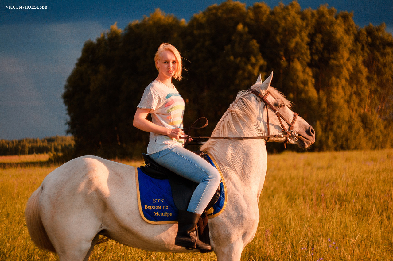 Photos from our stables. Part two. - My, Horses, Stable, Equestrian Club, Horseback riding, Horseback riding, Ryazan, Longpost