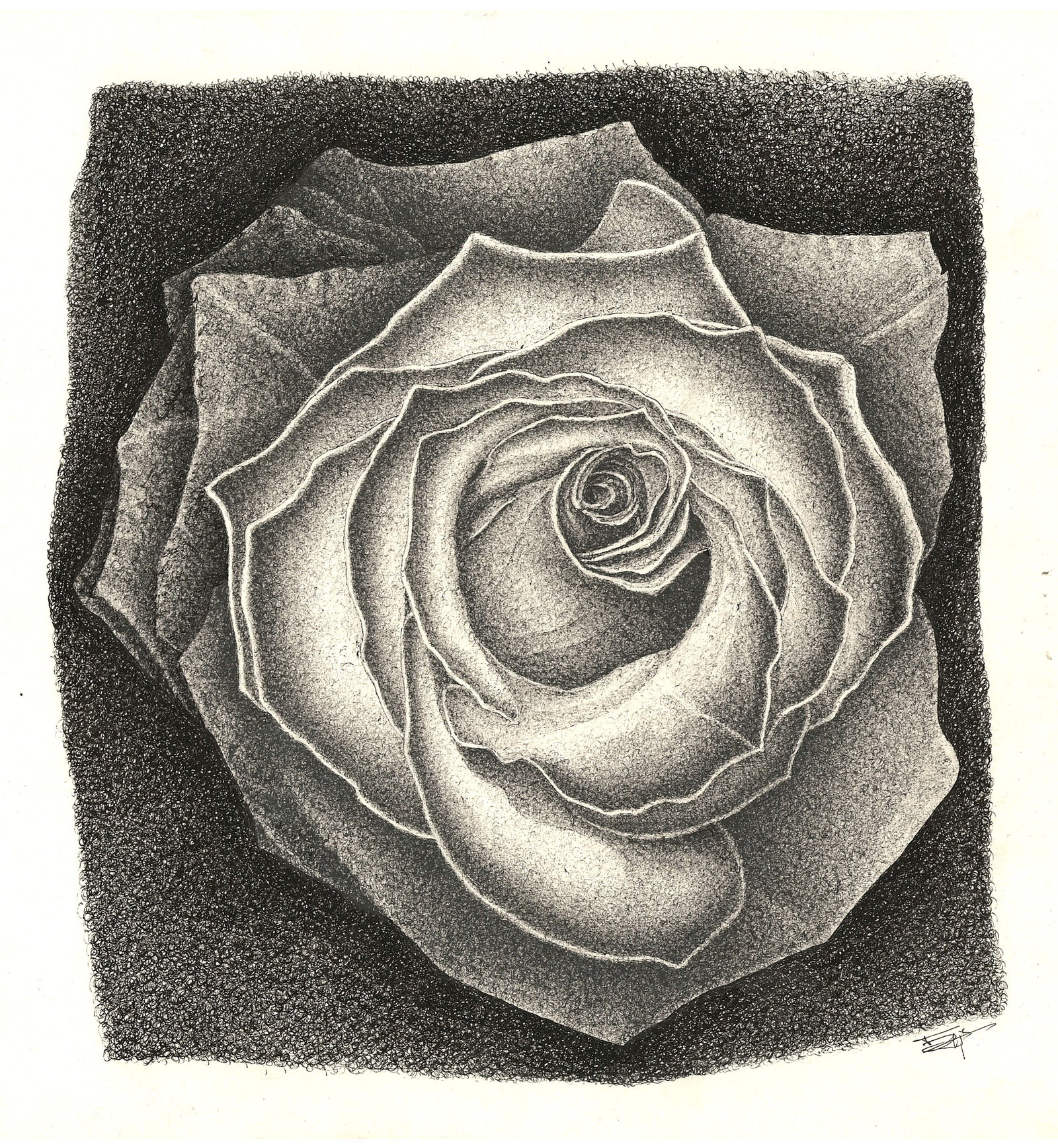 The Rose. - My, Gel pen, , Art decor, Art, Monochrome