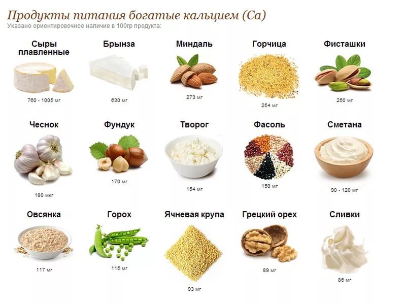 Calcium, functions, deficiency, excess. - , , Skeleton, , , , Nuts, , Longpost