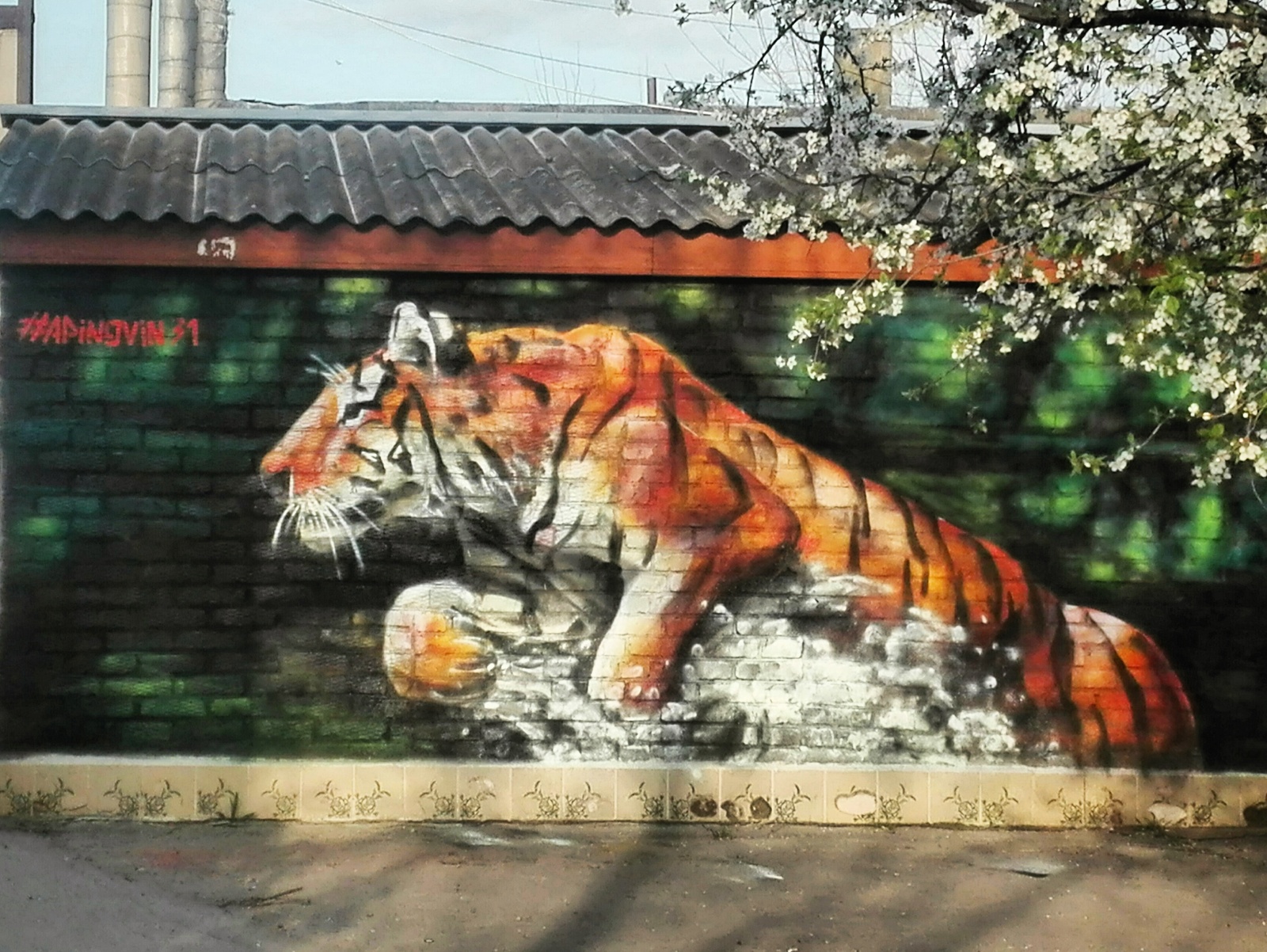 Стрит арт тигра