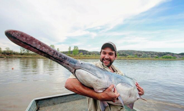 Unusual catch - A fish, Catch