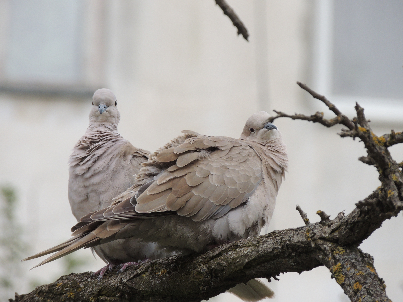 Going through old archives - My, Crimea, Evpatoria, Posturing, Nikon p510