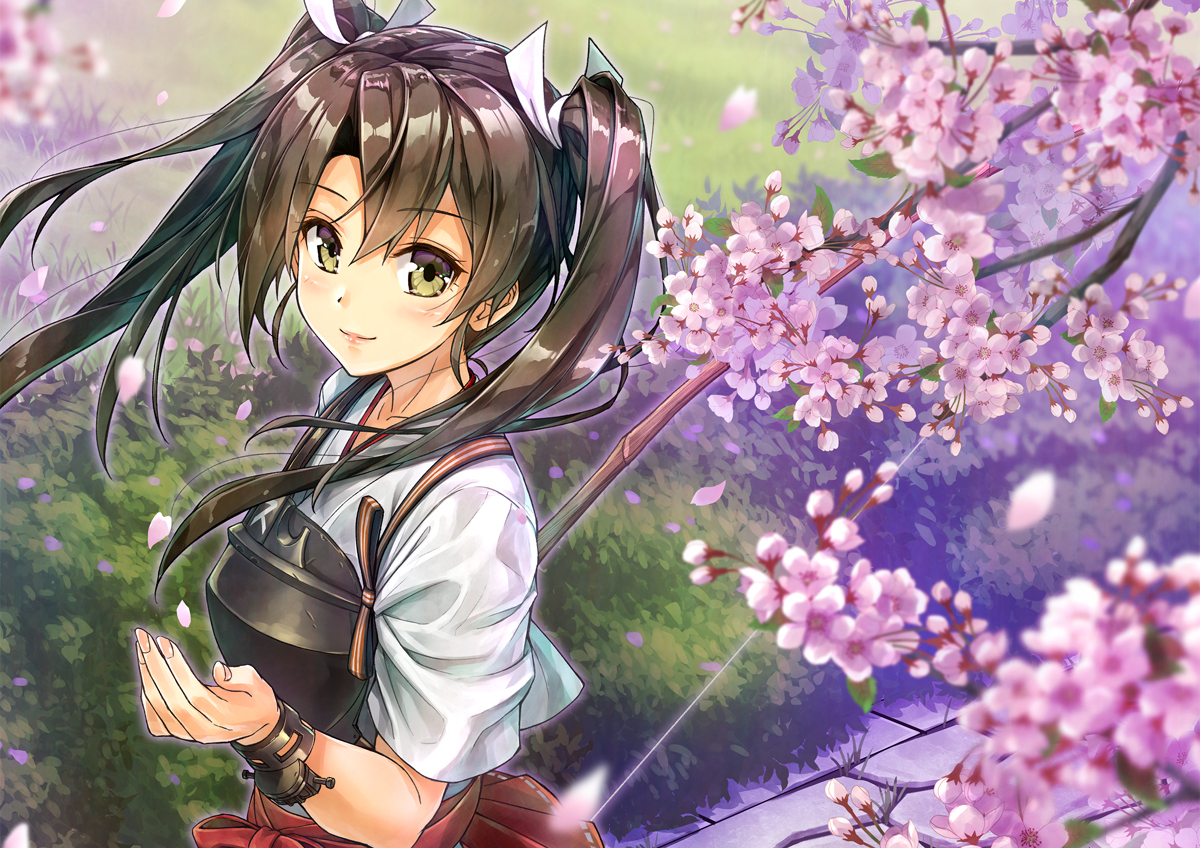 Zuikaku Пикабу