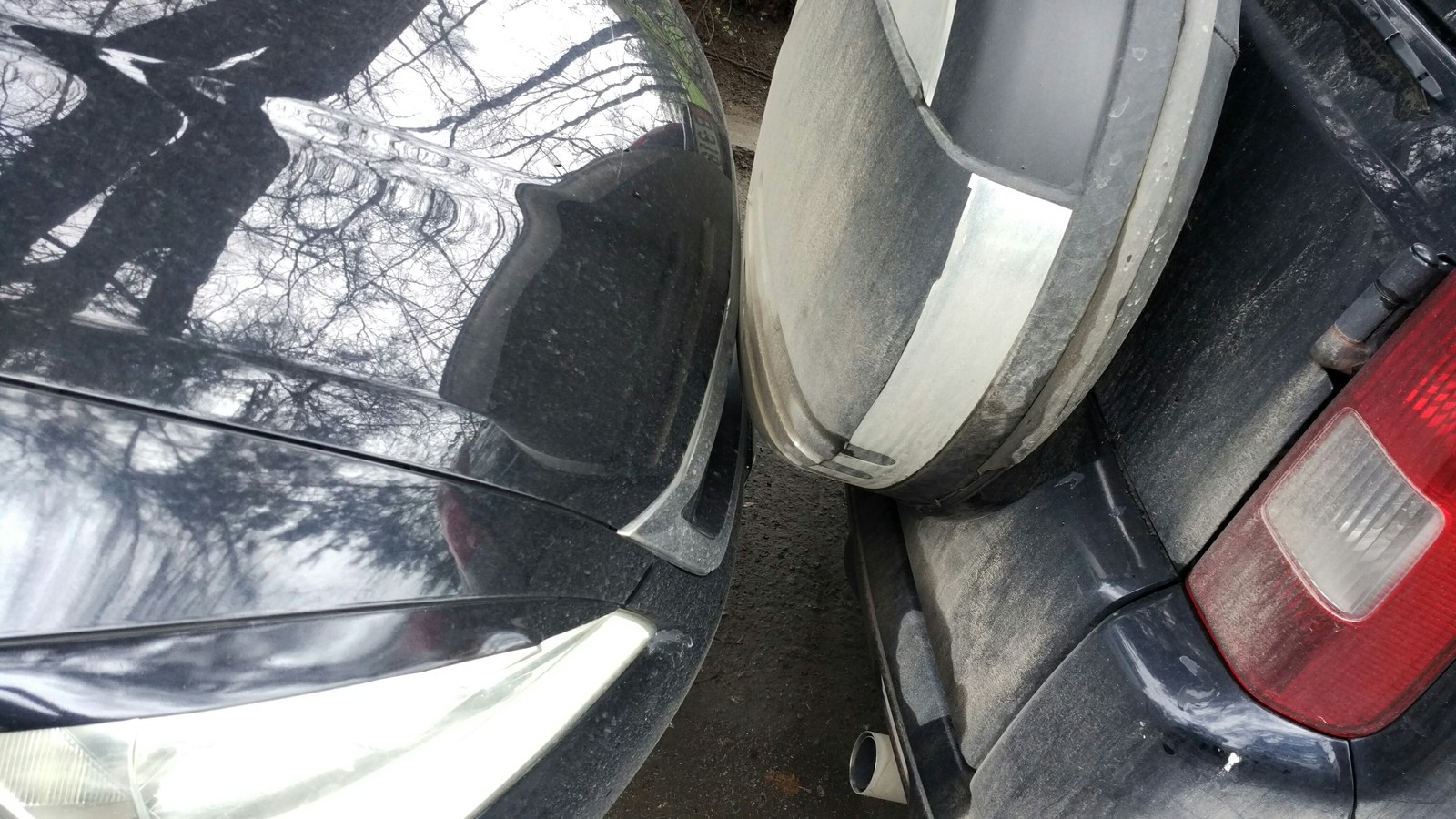 В тесноте, да не в обиде | Пикабу