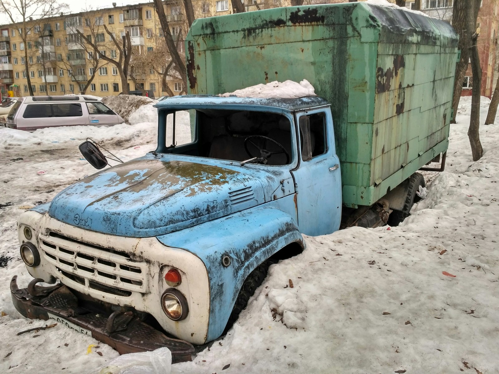 The old horse will not reach the furrow ... - My, Zil, Automotive industry, Power, Snowdrops, Longpost, Snowdrops flowers