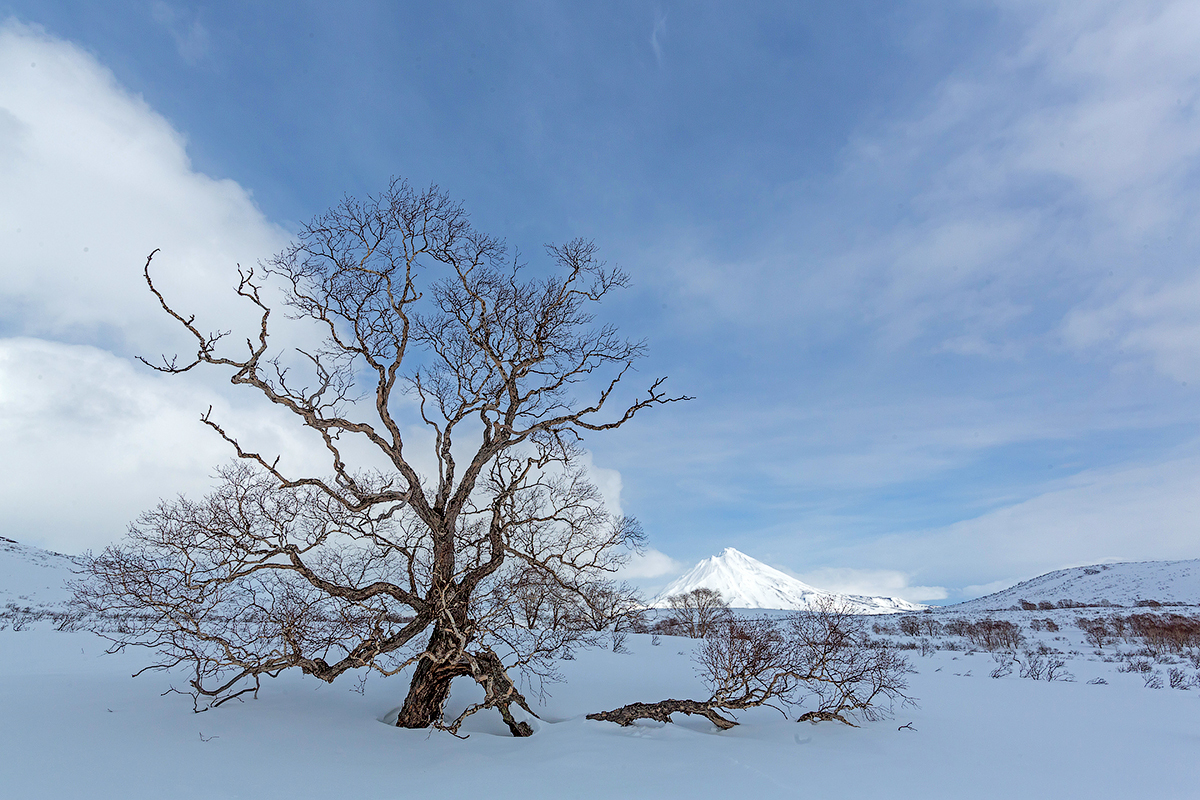 Kamchatka. Journey to volcanoes and hot springs. - My, Kamchatka, Travels, Spring, Volcano, Snowmobile, Nature, Longpost