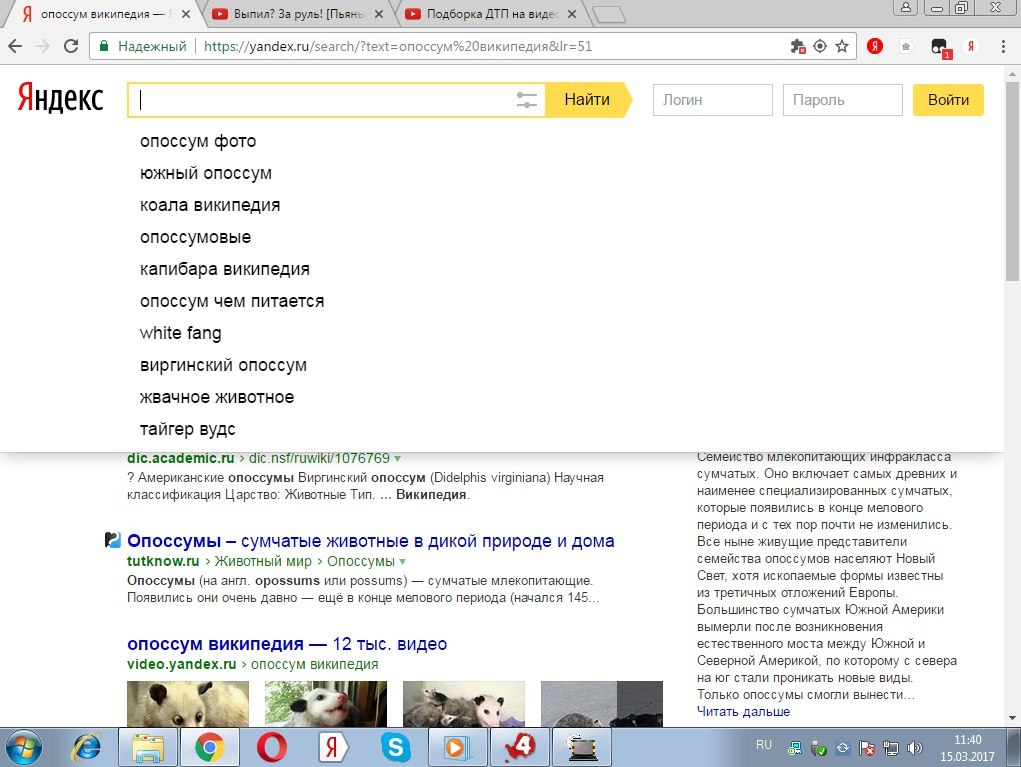 Is Tiger Woods a possum? - My, Yandex., Suddenly, Screenshot