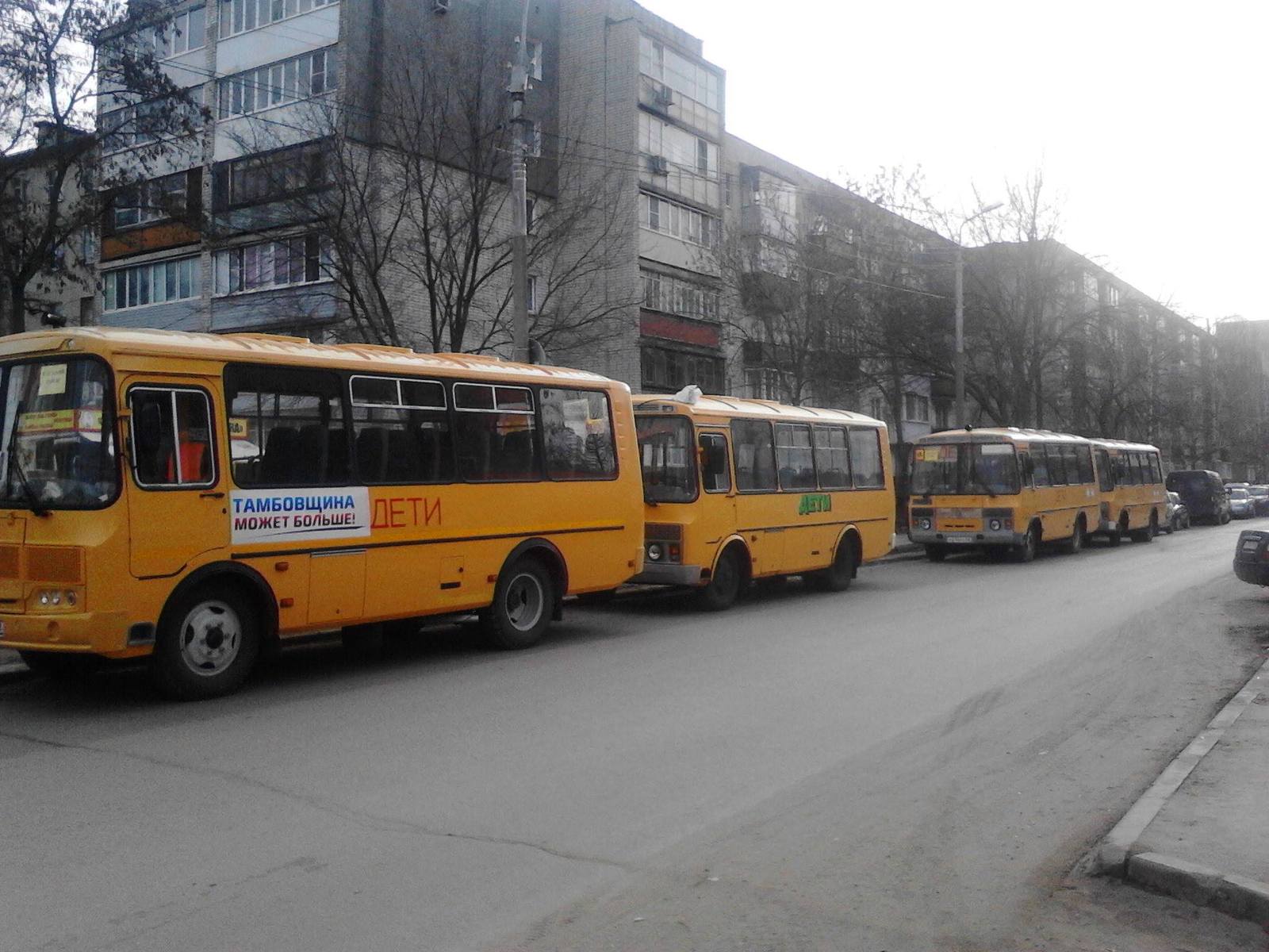 Voluntary rally against terror in Tambov - Rally, Terrorism, Lawyers, Power, Tambov, Politics, Budget workers, Extras