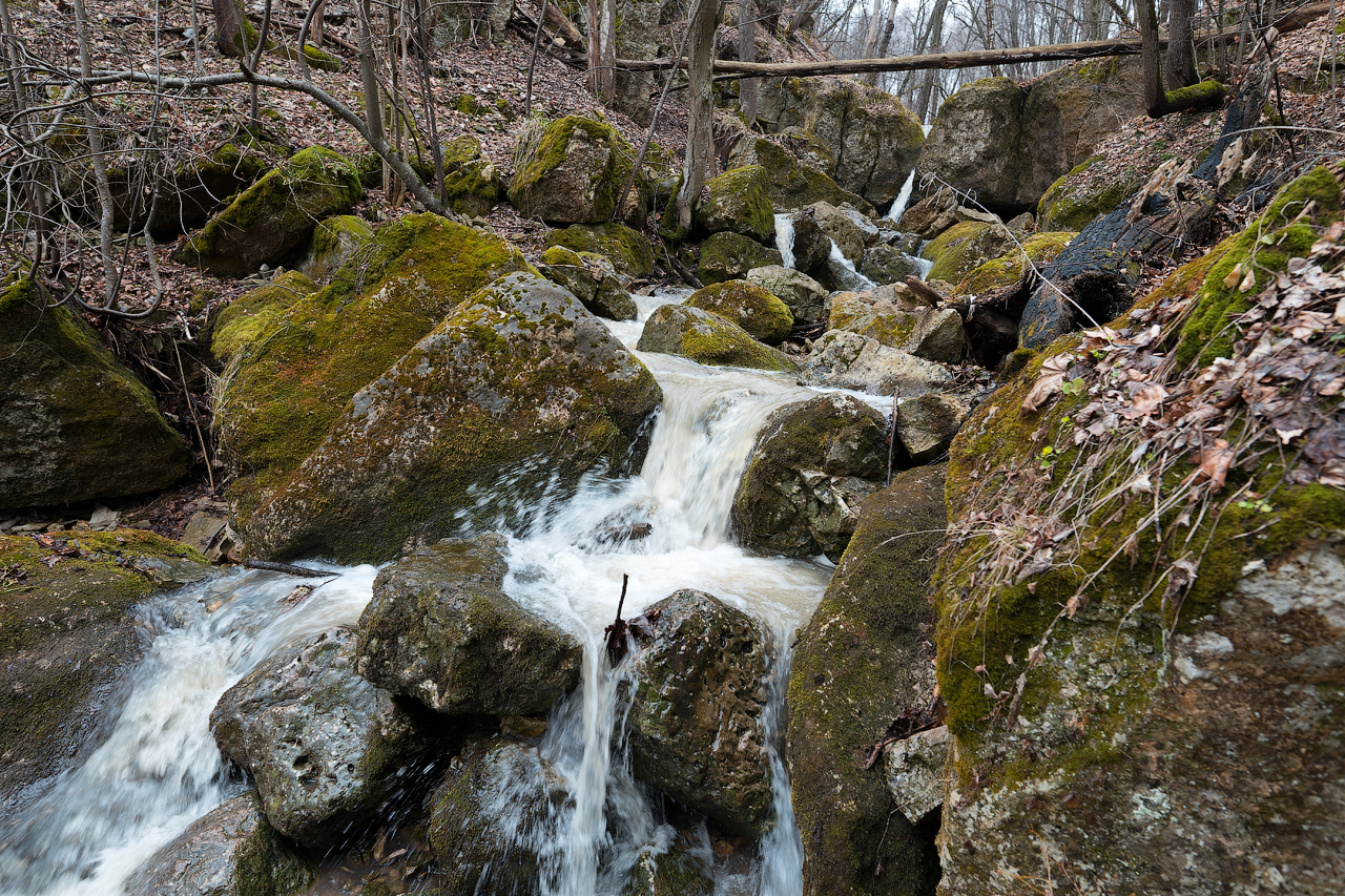 Kaluga ebony - My, Kaluga, Kaluga region, Outskirts, Longpost