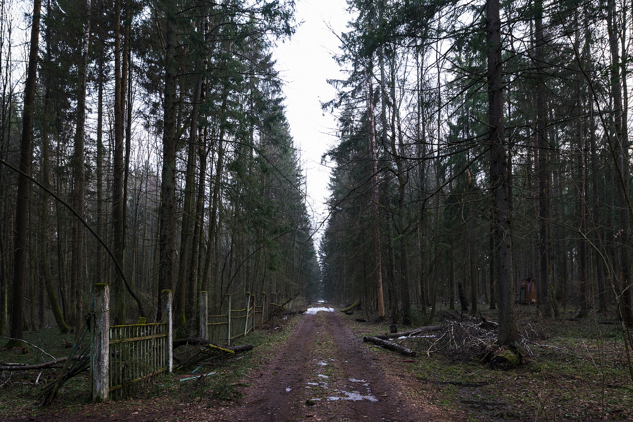 Kaluga ebony - My, Kaluga, Kaluga region, Outskirts, Longpost