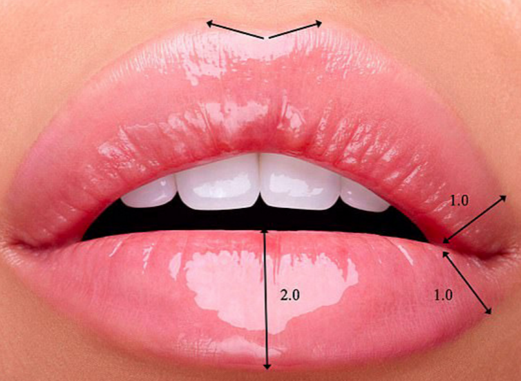 What are the perfect lips? Sensational discovery by British scientists - Lips, beauty, Ideal, Girls