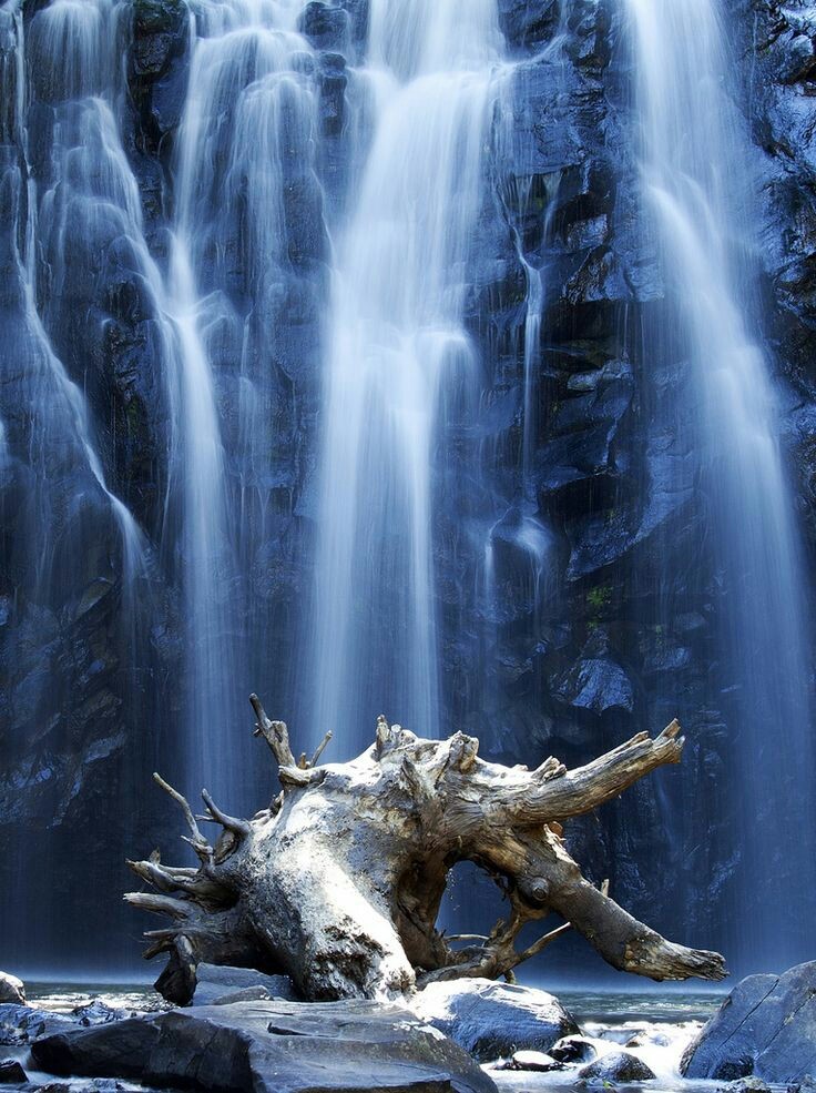 Water down the flying post. - The photo, Waterfall, The rocks, The mountains, Water, Forest, Nature, Longpost, GIF