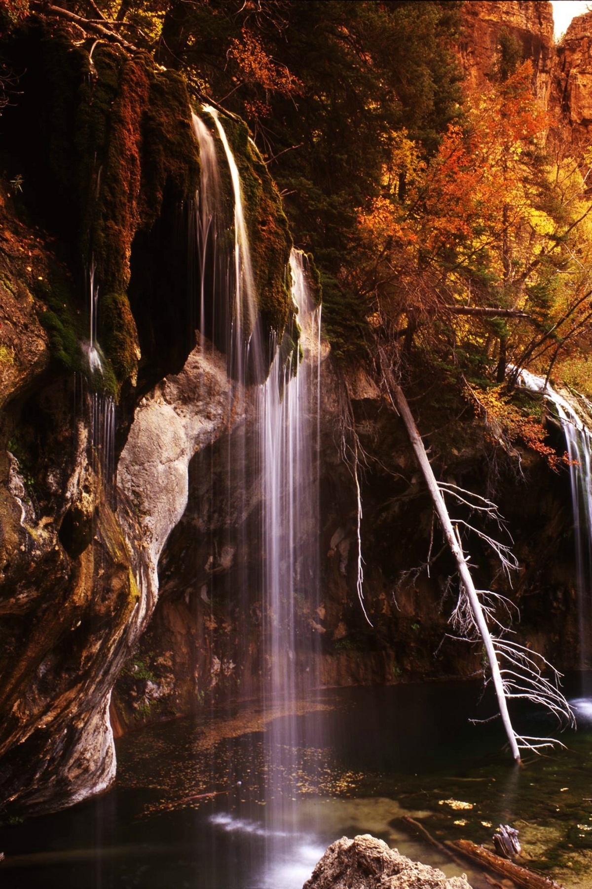 Water down the flying post. - The photo, Waterfall, The rocks, The mountains, Water, Forest, Nature, Longpost, GIF