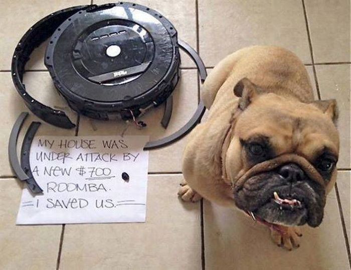 Defender - Dog, Robot Vacuum Cleaner, 