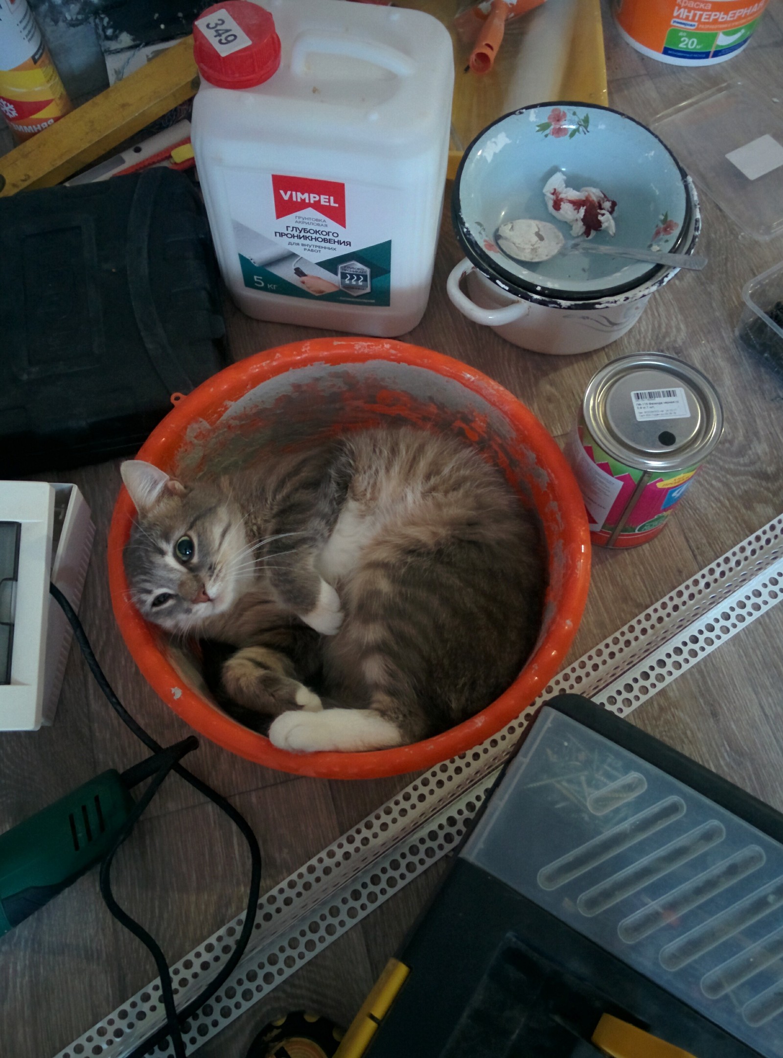 New worker. - My, cat, Repair