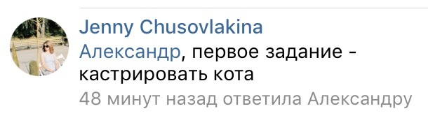 Когда удачно назвал клинику - Клиника, Ветеринария, Кит, Синий, Реклама