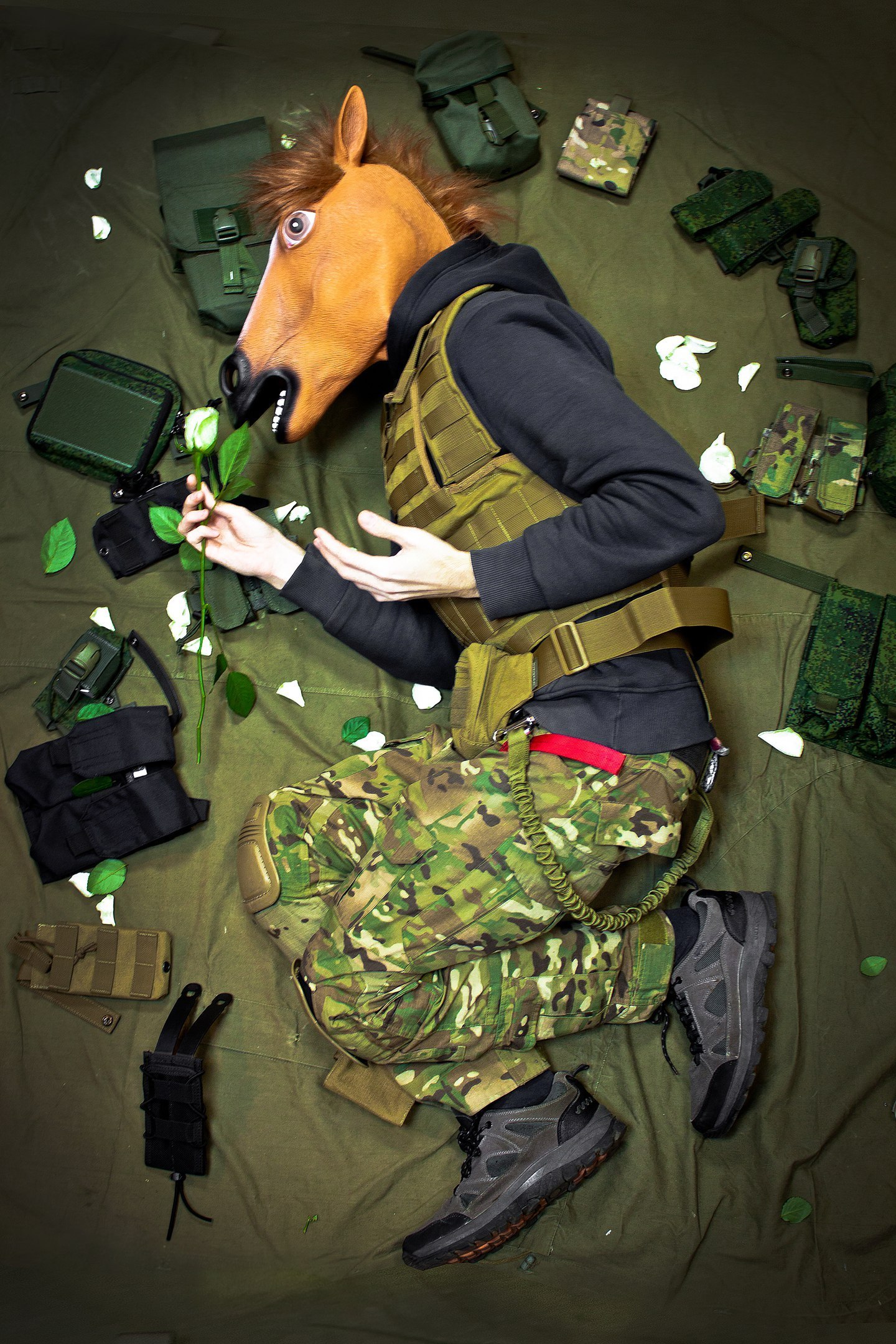 Tactical ... horse? - Mask, Horses, Horse head, Equipment, Military, Pouches, The photo, Longpost