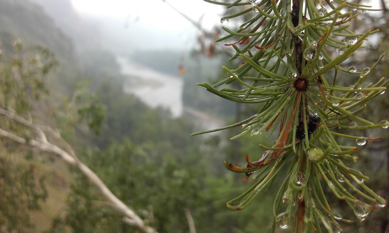 Shaman trail, Republic of Khakassia - My, The photo, Khakassia, , Dew, Nature, Longpost